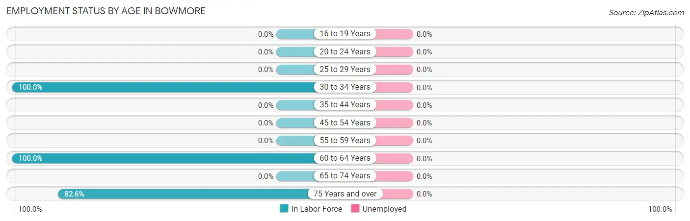 Employment Status by Age in Bowmore