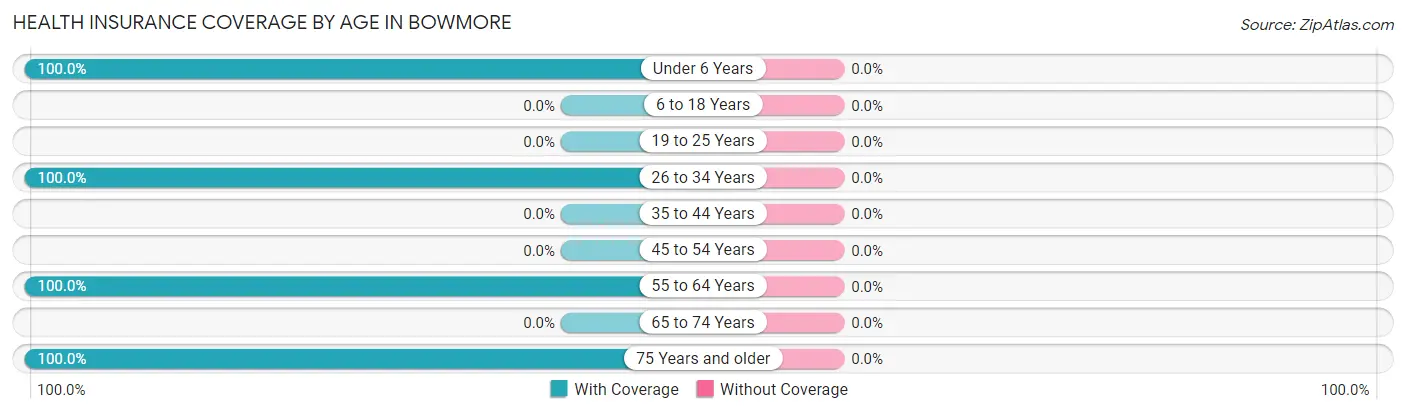Health Insurance Coverage by Age in Bowmore