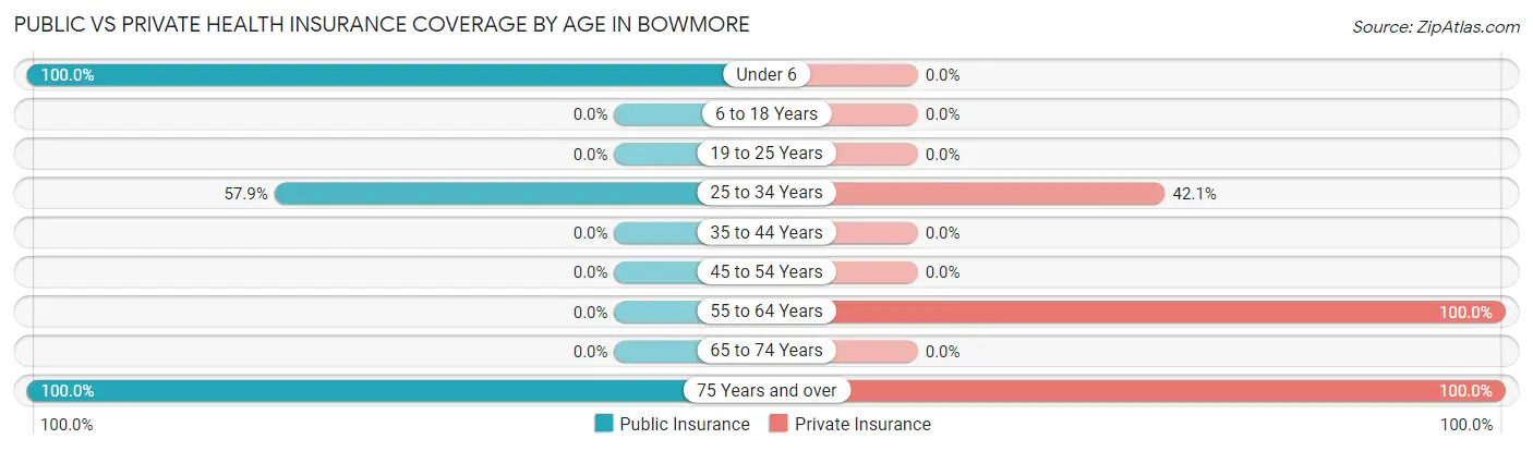 Public vs Private Health Insurance Coverage by Age in Bowmore