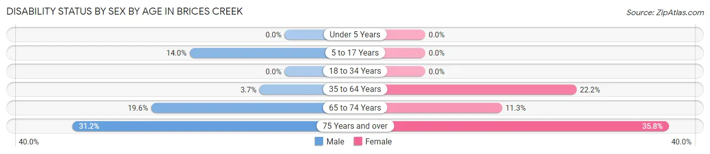 Disability Status by Sex by Age in Brices Creek