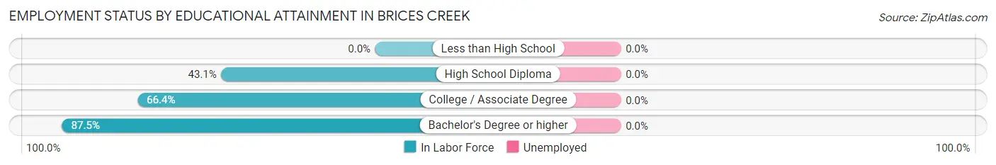 Employment Status by Educational Attainment in Brices Creek