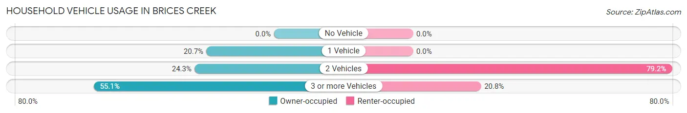 Household Vehicle Usage in Brices Creek