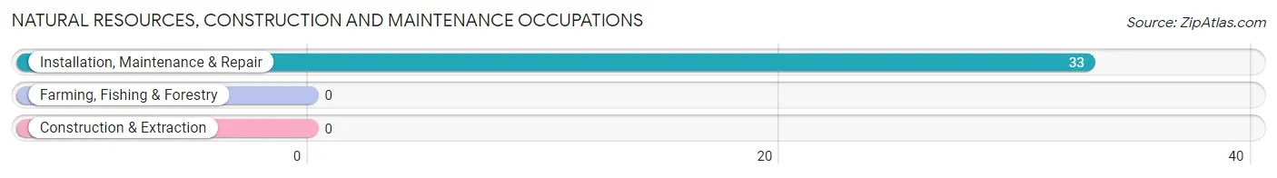 Natural Resources, Construction and Maintenance Occupations in Brookford