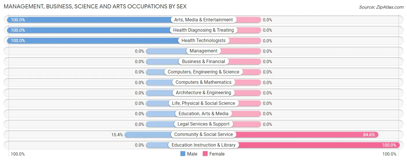 Management, Business, Science and Arts Occupations by Sex in Brunswick