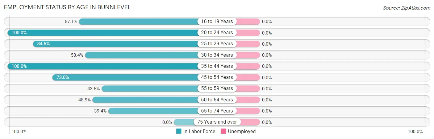 Employment Status by Age in Bunnlevel
