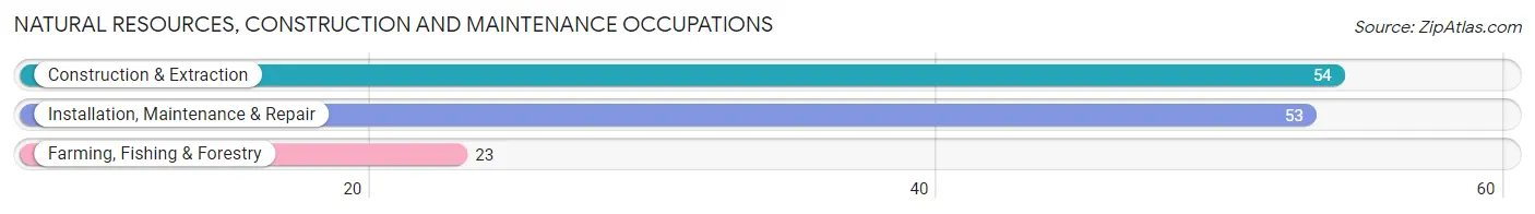 Natural Resources, Construction and Maintenance Occupations in Burgaw