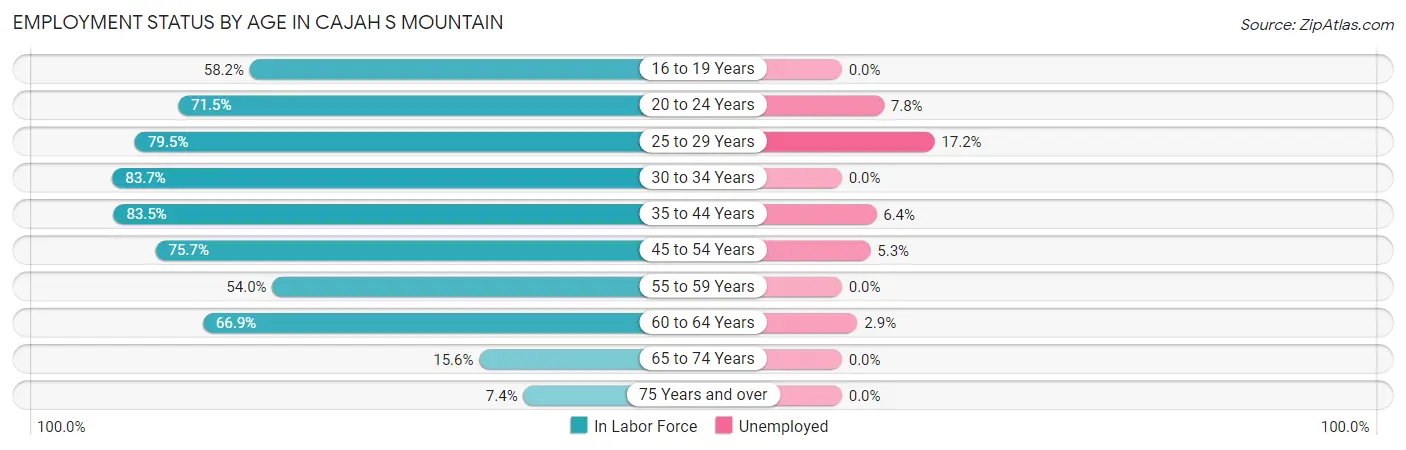 Employment Status by Age in Cajah s Mountain
