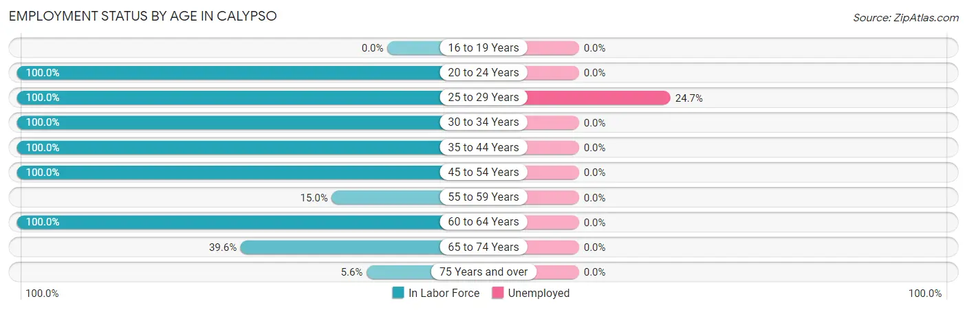 Employment Status by Age in Calypso