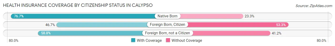 Health Insurance Coverage by Citizenship Status in Calypso