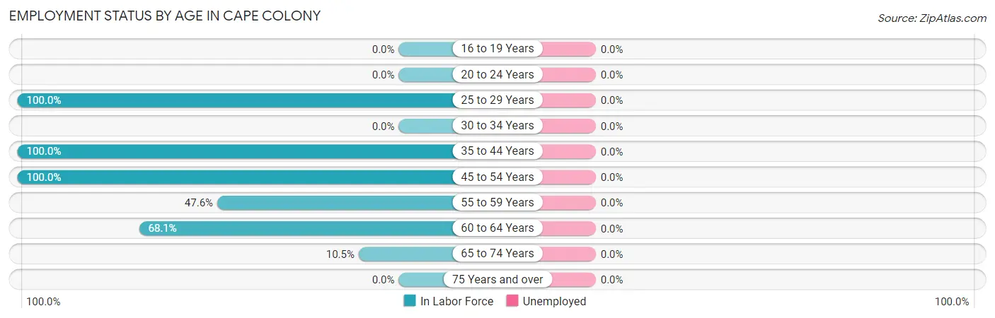 Employment Status by Age in Cape Colony
