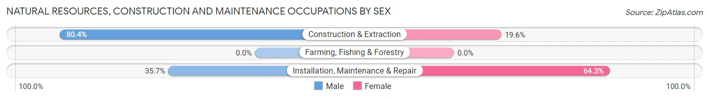 Natural Resources, Construction and Maintenance Occupations by Sex in Carolina Beach