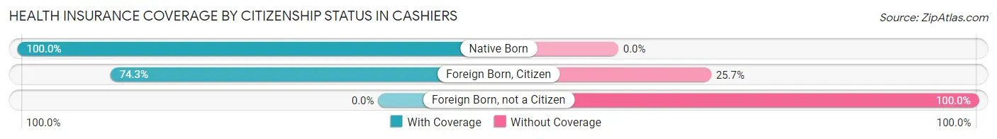 Health Insurance Coverage by Citizenship Status in Cashiers