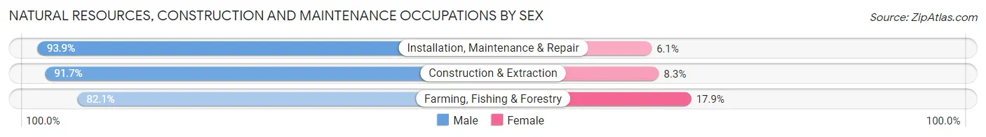 Natural Resources, Construction and Maintenance Occupations by Sex in Charlotte
