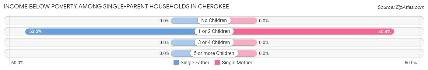 Income Below Poverty Among Single-Parent Households in Cherokee