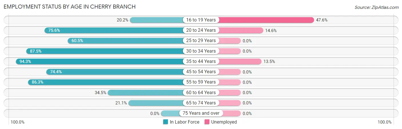 Employment Status by Age in Cherry Branch