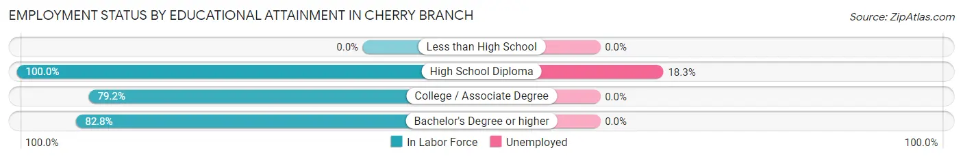 Employment Status by Educational Attainment in Cherry Branch