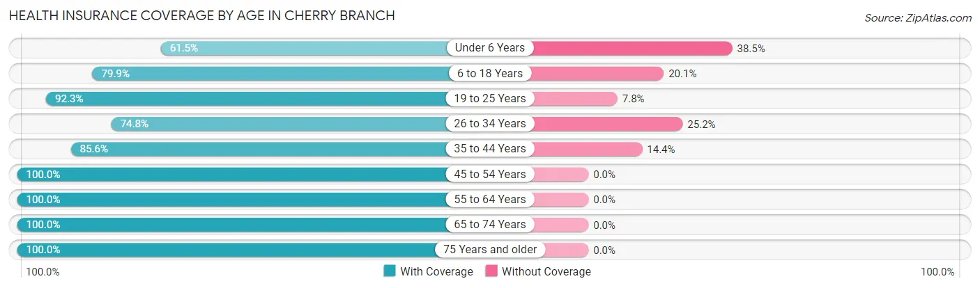 Health Insurance Coverage by Age in Cherry Branch