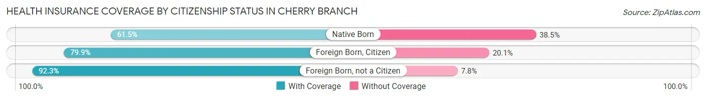 Health Insurance Coverage by Citizenship Status in Cherry Branch