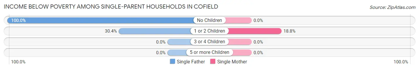 Income Below Poverty Among Single-Parent Households in Cofield