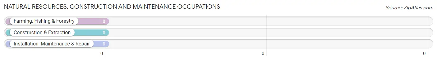 Natural Resources, Construction and Maintenance Occupations in Crouse