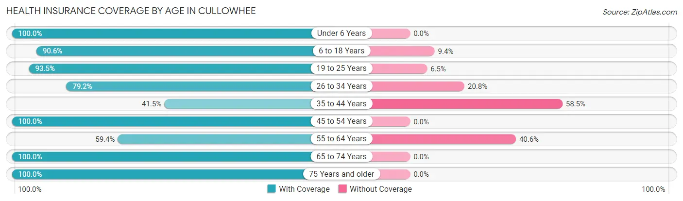 Health Insurance Coverage by Age in Cullowhee