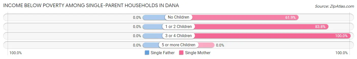 Income Below Poverty Among Single-Parent Households in Dana