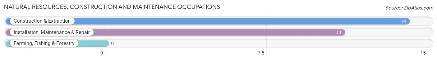 Natural Resources, Construction and Maintenance Occupations in Earl