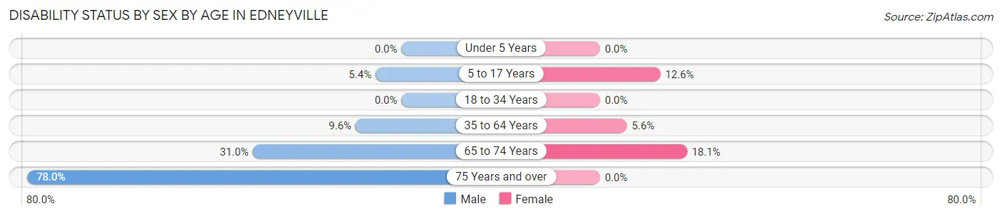 Disability Status by Sex by Age in Edneyville