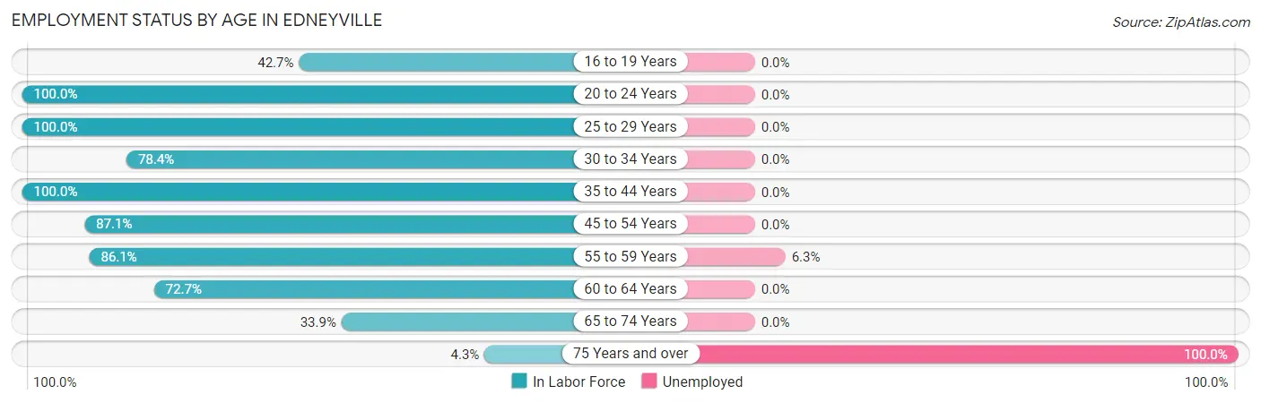 Employment Status by Age in Edneyville