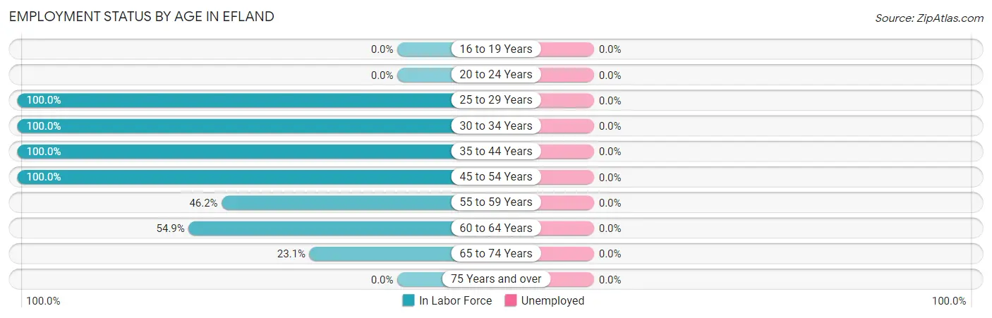 Employment Status by Age in Efland