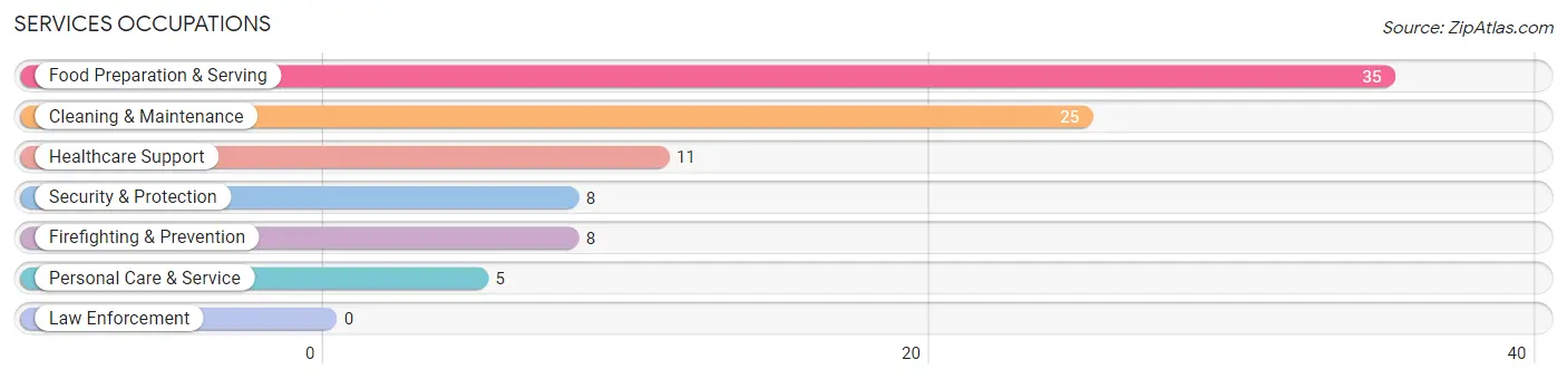 Services Occupations in Ellenboro