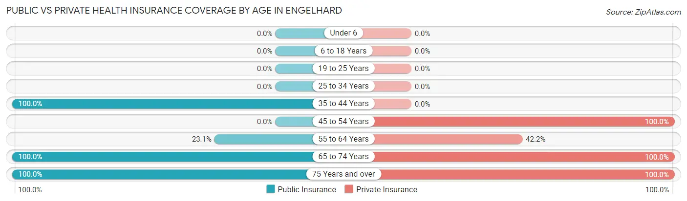 Public vs Private Health Insurance Coverage by Age in Engelhard