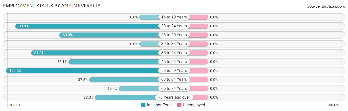 Employment Status by Age in Everetts