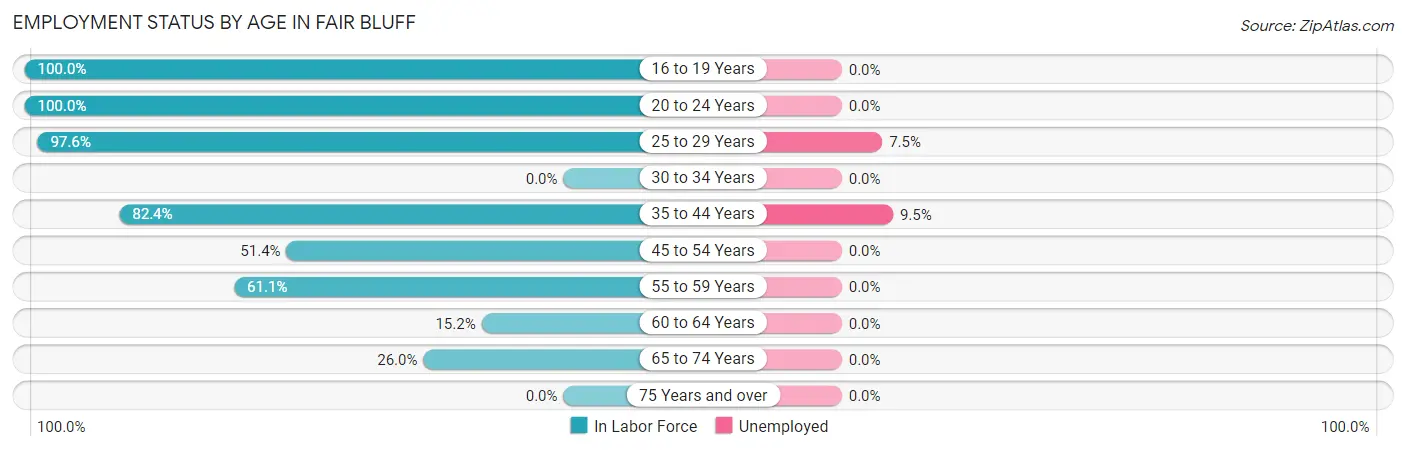 Employment Status by Age in Fair Bluff