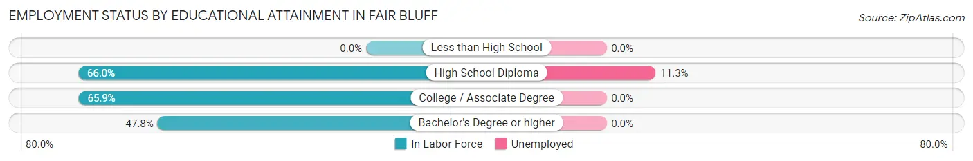 Employment Status by Educational Attainment in Fair Bluff