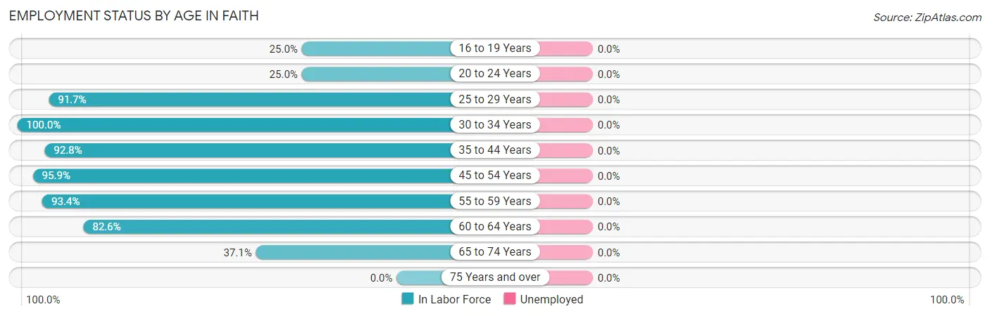 Employment Status by Age in Faith