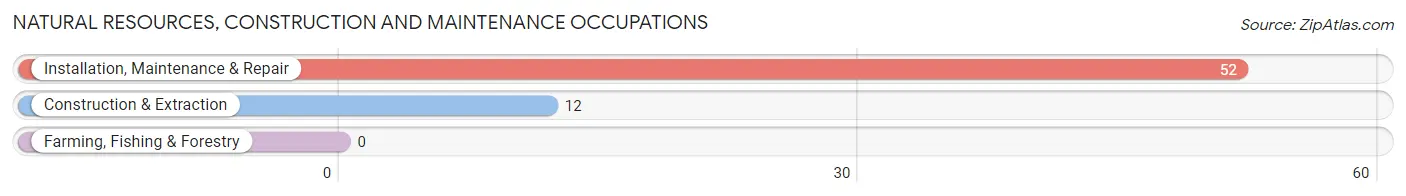 Natural Resources, Construction and Maintenance Occupations in Flat Rock