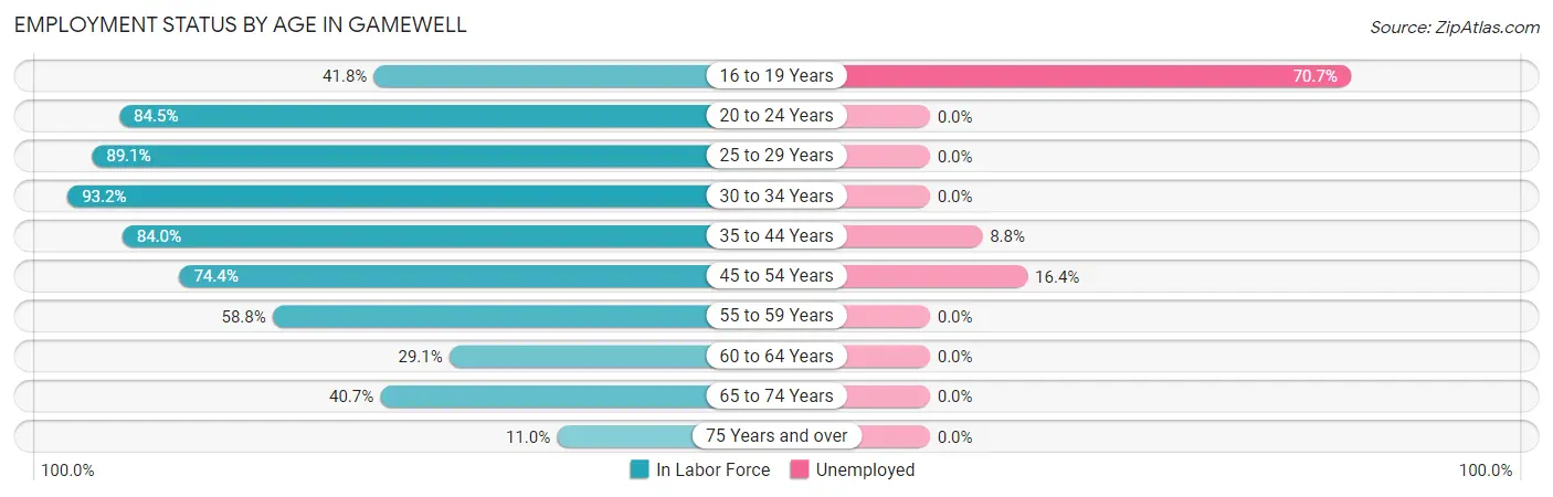 Employment Status by Age in Gamewell