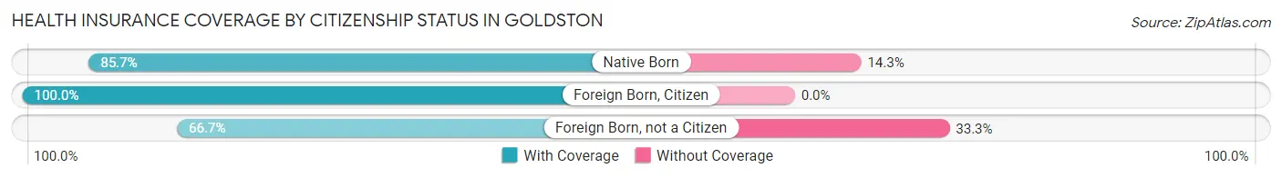 Health Insurance Coverage by Citizenship Status in Goldston