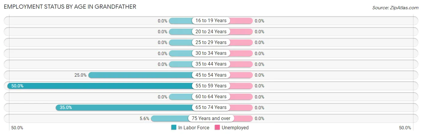 Employment Status by Age in Grandfather