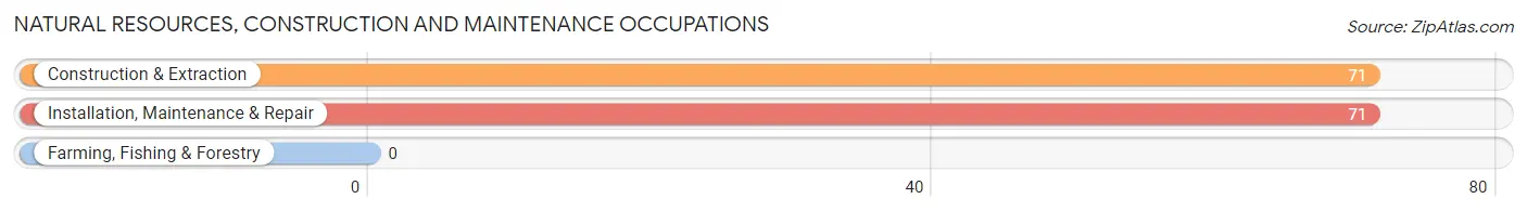 Natural Resources, Construction and Maintenance Occupations in Green Level