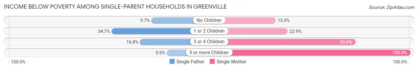 Income Below Poverty Among Single-Parent Households in Greenville