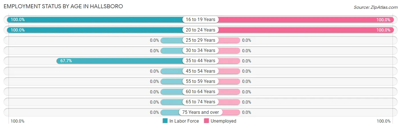 Employment Status by Age in Hallsboro