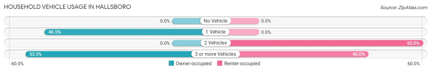Household Vehicle Usage in Hallsboro