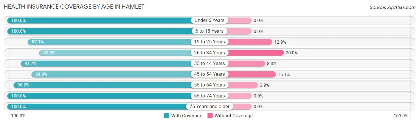 Health Insurance Coverage by Age in Hamlet