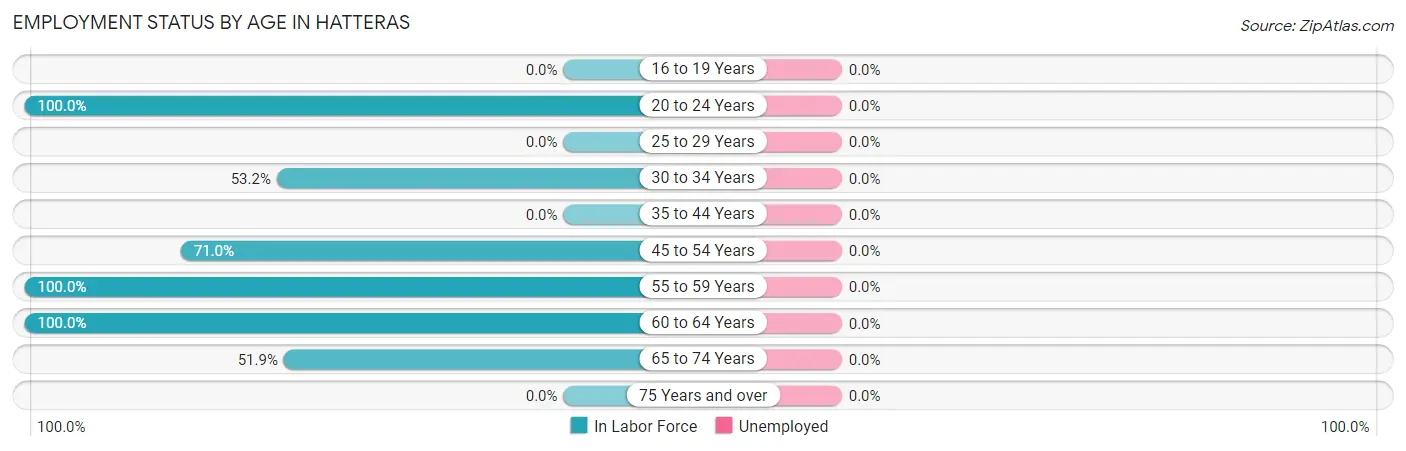 Employment Status by Age in Hatteras