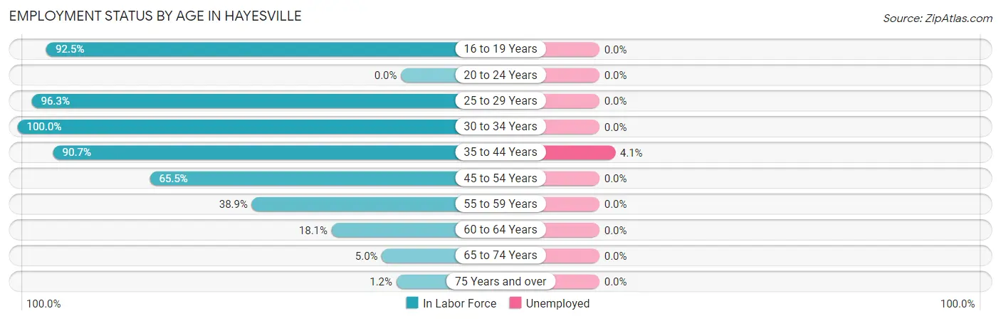 Employment Status by Age in Hayesville