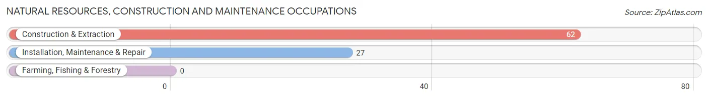 Natural Resources, Construction and Maintenance Occupations in Hemby Bridge