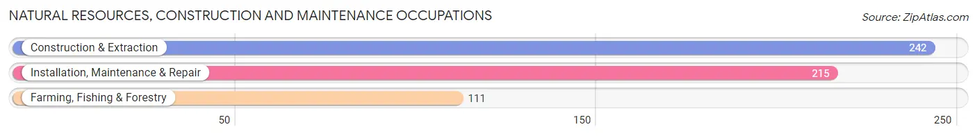 Natural Resources, Construction and Maintenance Occupations in Hendersonville