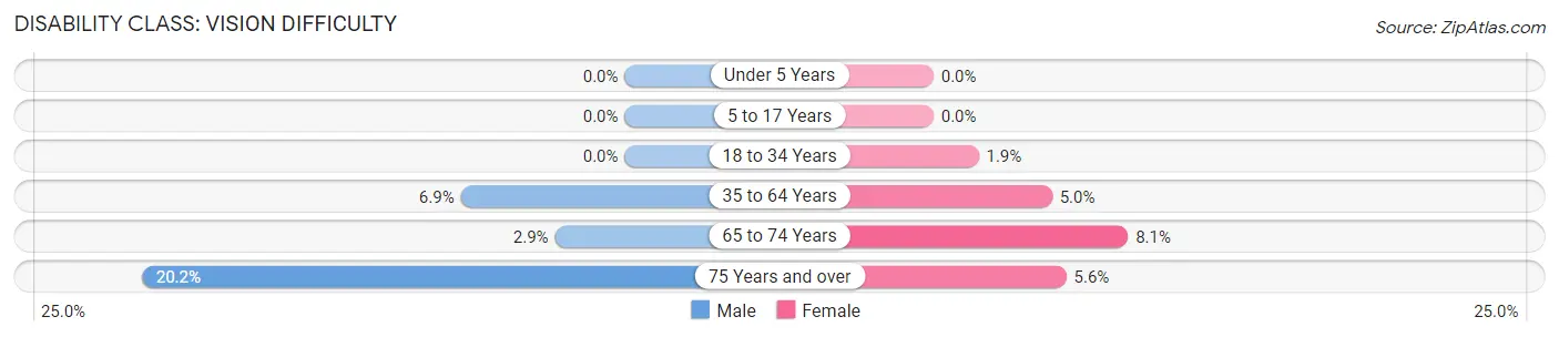 Disability in Hendersonville: <span>Vision Difficulty</span>